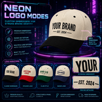 Gorra de Béisbol Personalizada con Logotipo en Placa Metálica, Bordado, Estructurada, de 6 Paneles, Dos Tonos, Cierre a Presión, Venta al Por Mayor, Marca Propia