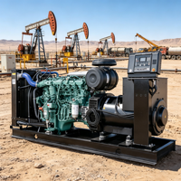 Groupe électrogène diesel de type ouvert 250 kW 300 kVA, alimentation de secours d'urgence 400 V 50 Hz triphasé, fonctionnement économe en carburant pour hôpitaux en Espagne