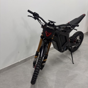 Nouvelle Moto Tout-Terrain Leopard PRO 2026 72V 35Ah 12kW 342Nm 72km/h pour l'Aventure dans le Désert, Boîtier de Vitesses 7 Rapports Leopard PRO Sm - Product Image 6