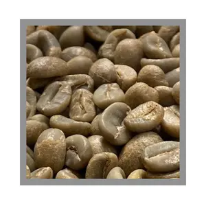 Arabica Catimor Fast Delivery Wholesale Coffee Customized Packaging Green Coffee Beans Vietnam Coffee Manufacturer