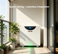 ENLZH Lifepo4 51.2 V Solar dan Penyimpanan Baterai 15kwh 300ah Baterai Lithium Mudah Dipindahkan dengan Roda