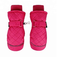 Gants de ski freestyle pour femmes en polyester TJ, chauds, pour l'hiver, le snowboard, avec poignets repliés, légers, coupe-vent, imperméables