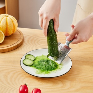 Nueva Placa de Molienda Manual de Acero Inoxidable, Utensilio de Cocina, Rallador de Jengibre, Molinillo Multifuncional para Verduras y Ajo - Product Image 2