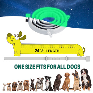 Collier <span class=keywords><strong>anti</strong></span>-puces et <span class=keywords><strong>anti</strong></span>-tiques pour animaux de compagnie Chanson, imperméable et réglable, protection de 8 mois pour chiens et chats - Product Image 5