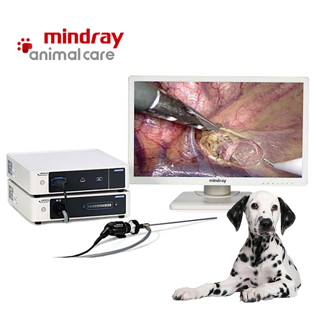 Mindray Vetina CS3 Flexible Fiber Ureteroscope With Light Source Veterinary Digital Gastrointestinal Endoscope System