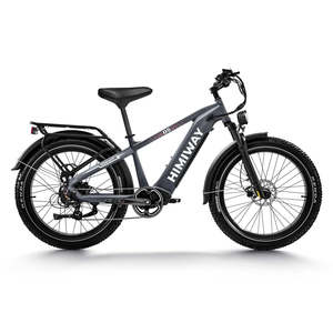 Vélo électrique tout-terrain D5 (Zebra) Premium, autonomie 60 km, 48V 350W, avec moteur roue arrière pour la conduite tout-terrain, multicolore Zebra Pre - Product Image 2