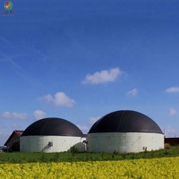 Réservoir sous pression en acier avec commande PLC pour la digestion anaérobie automatique des excréments animaux et des déchets végétaux