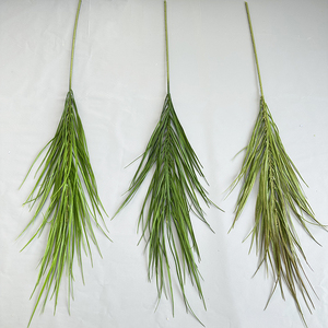 Plantes de Pampas Individuelles, Résistantes aux Zones Sombre, pour la Décoration de Bureau et de Chambre - Product Image 3