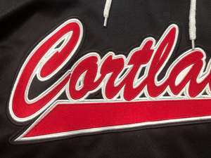 Hoodie hoki lengan pendek tim sekolah pola jahit mode kustom seragam garis penjaga lapangan kaus hoki es - Product Image 6