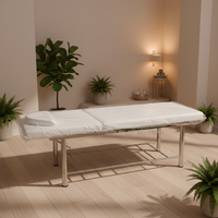 Table de massage et lit de spa en acier inoxydable simple avec pieds réglables et dossier réglable, mousse de 7 cm, taille personnalisable, pour salon de beauté, école, salon