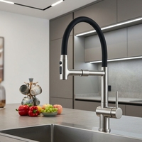 Robinet de cuisine monocommande en acier inoxydable antique avec cartouche céramique, à monter sur plan, avec douchette extractible