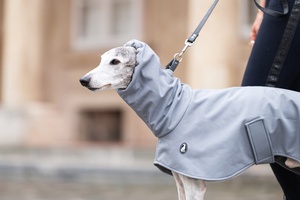 <span class=keywords><strong>Manteau</strong></span> <span class=keywords><strong>de</strong></span> <span class=keywords><strong>Pluie</strong></span> <span class=keywords><strong>de</strong></span> Luxe Personnalisé Qiqu <span class=keywords><strong>pour</strong></span> Chien Bouledogue Italien, <span class=keywords><strong>Whippet</strong></span> & Iggy – Veste <span class=keywords><strong>pour</strong></span> Chien à Motif Uni – Cadeau Personnalisé - Product Image 2