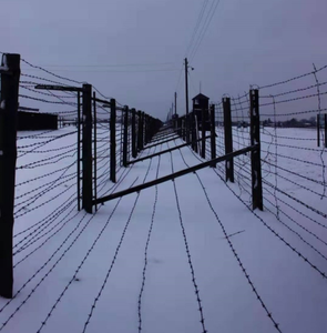 Malla <span class=keywords><strong>de</strong></span> <span class=keywords><strong>Alambre</strong></span> <span class=keywords><strong>de</strong></span> Púas <span class=keywords><strong>de</strong></span> Acero Galvanizado para Cercas con Cuchillas Cruzadas, <span class=keywords><strong>Rollo</strong></span> <span class=keywords><strong>de</strong></span> 500M 50Kg para Protección Agrícola - Venta Directa <span class=keywords><strong>de</strong></span> Fábrica - Product Image 3