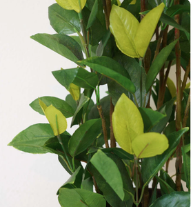 Lifelike Lemon <b>Tree</b> Artificial Plant Realistic Faux Citrus <b>Tree</b> for Home Office Garden <b>Decor</b> Indoor Outdoor Greenery Display - Product Image 2