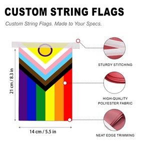 Collection de fanions LGBTQ personnalisés en gros, série Pride, fabriqués sur commande, bannière de la lutte pour les droits des minorités, production rapide, fabricant direct - Product Image 2