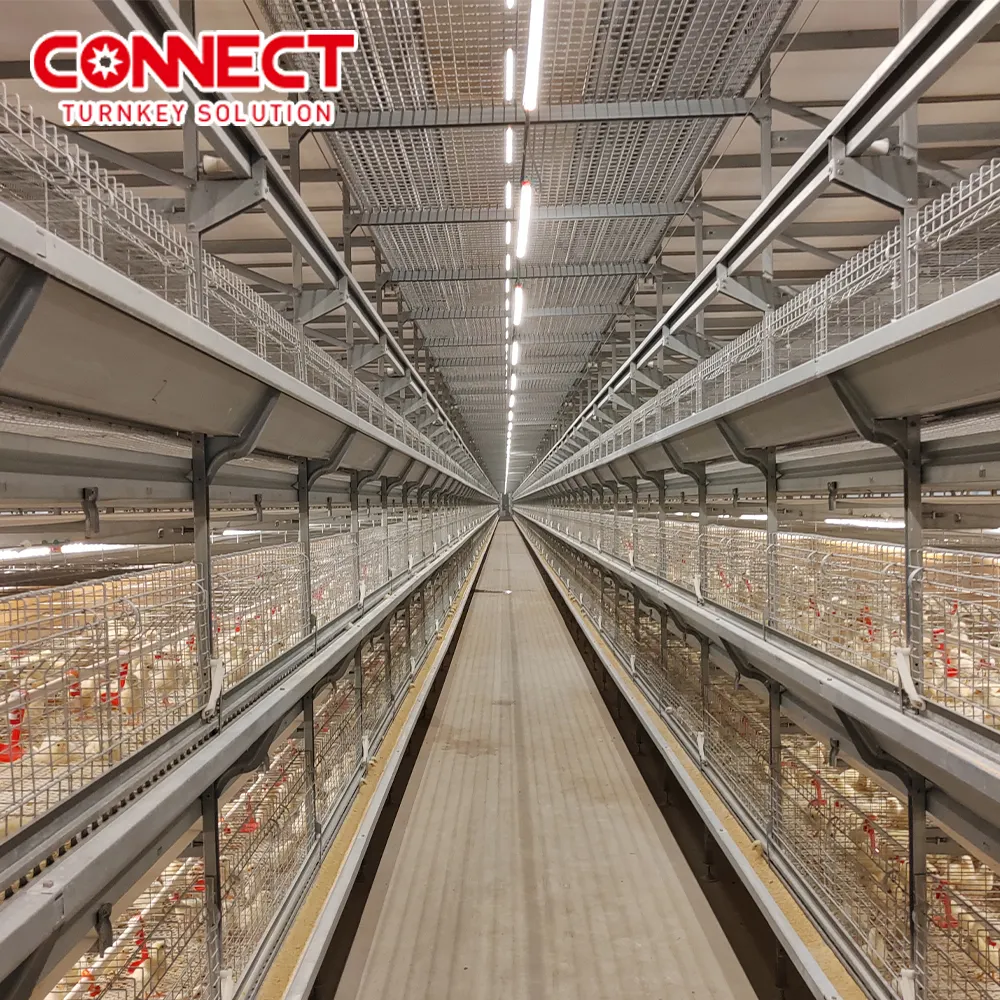 Tipo H 50000 cría de aves de engorde comercial gallinero cría de pollos de engorde conjunto de jaulas para granja avícola
