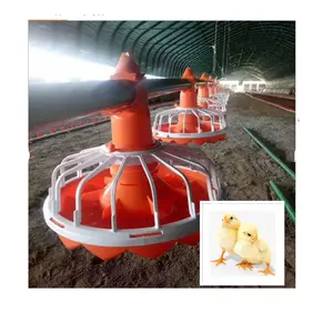 Poultry Shed Design Chicken Farming House Equipment For Broiler Full Set Modern Automatic Nipple Drinking System 10000 Provided