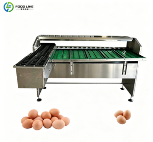 Machine <span class=keywords><strong>de</strong></span> triage automatique des œufs pour usine laitière avec trieuse et tri par taille - Product Image 2