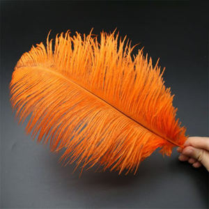 Grande plume d'autruche multicolore pour la décoration <span class=keywords><strong>de</strong></span> mariage Oiseau d'Afrique du Sud Costume <span class=keywords><strong>de</strong></span> carnaval d'art réel - Product Image 3