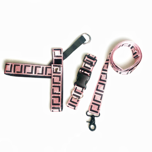 Hunde geschirr Leinen Set Französische Bulldogge <span class=keywords><strong>Schnauzer</strong></span> Corgi Chihuahua Groß Mittel Klein Hunde halsband Nylon Brief Verstellbar Langlebiges Haustier - Product Image 6