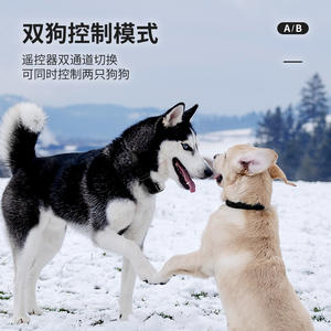 Collar de entrenamiento remoto recargable M613 para perros, modo de control dual con cambio de canal A/B - Product Image 1