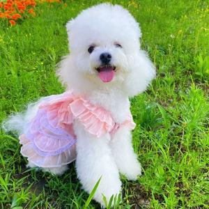 Pet <b>Clothes</b> For Dogs <b>Princess</b> Lace Skirt Sweet Pink Spring Style Decorative Small Medium Size - Product Image 4