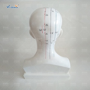 Modello <span class=keywords><strong>di</strong></span> agopuntura della testa a grandezza naturale per la <span class=keywords><strong>formazione</strong></span> <span class=keywords><strong>e</strong></span> l'<span class=keywords><strong>educazione</strong></span> nelle <span class=keywords><strong>scienze</strong></span> mediche - Product Image 5