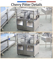 FENGXIANG Kersenreiniger en -ontpitter combinatie set met automatische kantel- en afvoersysteem, belletjeswasser & kersenontpittermachine 200kg/u voor fruitleveranciers