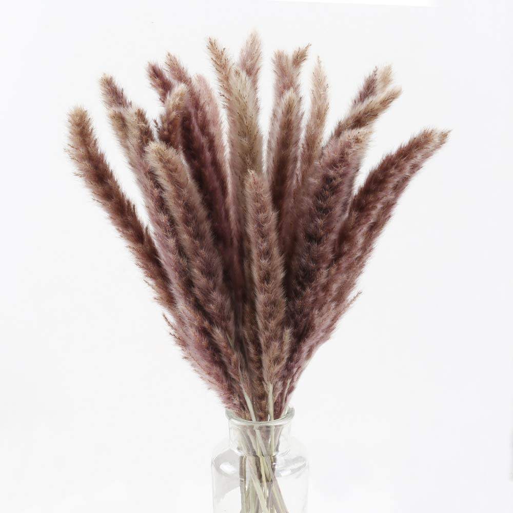 สีน้ำตาลดั้งเดิม