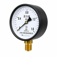 Dry General Pressure Gauge 1.6 Accuracy Grade Black Steel Case Brass Thread Connection 0-1.6MPa