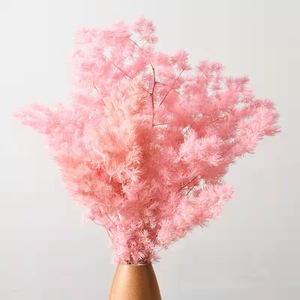 Nuevo Producto 2026, Ramas de Helecho Ming Preservadas, Flores Secas, Decoración Ecológica para el Hogar y Bodas, Día de San Valentín, Año Nuevo Chino - Product Image 6