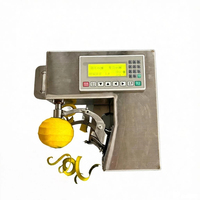 Hoge Efficiëntie Automatische Fruit Schilmachine Commerciële Elektrische Schiller voor Sinaasappel Citroen Appel Kiwi Voedselverwerking