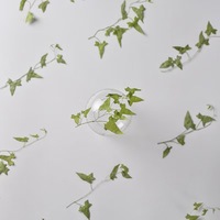 Feuilles de volubilis pressées avec tiges MNR2215, spécimens de plantes séchées, DIY pour coques de téléphone, art et marque-pages