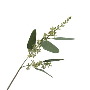 Feuilles d'eucalyptus simulées avec fruits ornements de <span class=keywords><strong>table</strong></span> à la maison fleurs décoratives 2 fourchettes branches d'eucalyptus ensemencées artificielles - Product Image 5