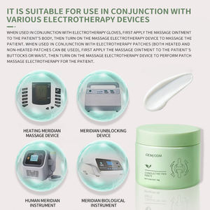 Crème Analgésique OEM Naturelle et Végétale, Formule Conductrice à Absorption Rapide pour Douleurs Musculaires du Bas du Dos, Emplâtre Chinois, Conservation 3 Ans - Product Image 5