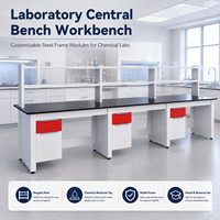 Módulos de Banco Central con Estructura de Acero Personalizables, Banco de Laboratorio Tipo Isla, Banco de Trabajo con Estante para Reactivos