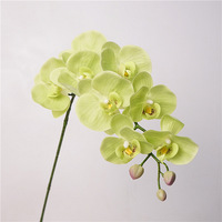 Großhandel 9-Köpfige Seide+Latex Phalaenopsis Künstliche Blume Gelb Grün Weiß 98cm Langlebige Pflanzen Valentinstag