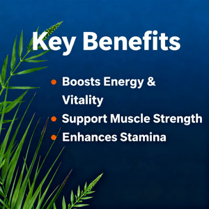 Turkesterone naturale & Tongkat Ali capsule con puro estratto di Turkesterone integratore a base di erbe per energia & vitalità Boost - Product Image 3