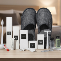 Ensemble d'articles de toilette de luxe pour hôtel, conforme RoHS, kit de voyage jetable, kit de brosse à dents portable, kit de voyage personnalisé