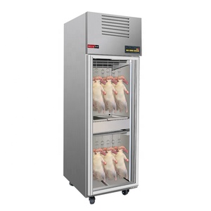Réfrigérateur Commercial Économique pour Viande Séchée, Affichage Numérique, Déshumidification Rapide, Préservation Automatique, Porte Simple, Hygiène XD - Product Image 2