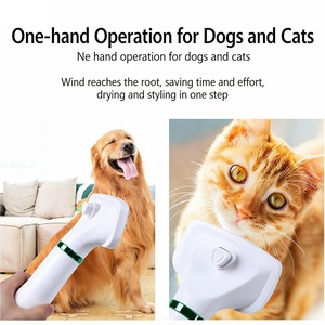 Cepillo Secador de Pelo para Mascotas 2 en 1, Ecológico y de Lujo, con Batería, con Peine de ABS y Acero Inoxidable para Perros y Gatos - Product Image 4