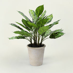 Home Office Banheiro Cozinha Mesa Centerpieces Prateleira Decoração 24 "60cm <span class=keywords><strong>Aglaonema</strong></span> Pictum Tricolor Plantas Artificiais com Pote - Product Image 2