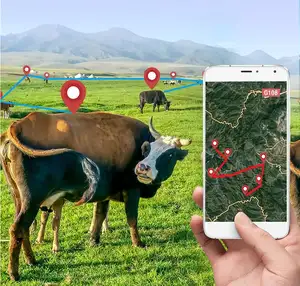 Solar betriebener 4g 2g GPS Tracker Alarm entfernen GPS Locator Schaf Kuh Rinder Solar GPS Halsband