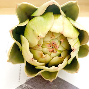 نباتات عصارية اصطناعية عالية الجودة على شكل خرشوف لتزيين باقات الزفاف وطاولات العرض - Product Image 6