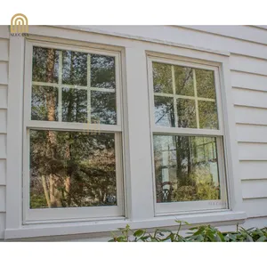 Alucasa американский стиль звуконепроницаемые Энергоэффективные окна вертикальные вверх вниз двойные створки белые алюминиевые створчатые окна