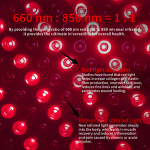 פאנל טיפולי באור אדום אינפרא אדום קרוב לגוף מלא ANDT 1500W 660nm 850nm - Product Image 3