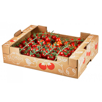 Conteneur en carton ondulé biodégradable avec lamination mate pour l'emballage de fruits (fraises, cerises, tomates) – Écologique – Vente en gros