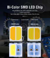 HY fábrica al por mayor 0,5 W 1 vatio 3030 5050 5054 chip LED de doble color doble blanco bicolor LED SMD CRI 95 diodo LED