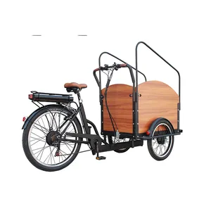 中国新型电动货运自行车减震器前木箱3轮三轮车自行车踏板辅助移动自行车250W