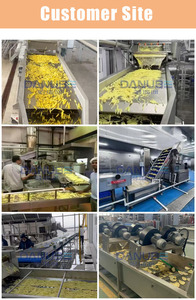 Potato Chip and Fries Frying Production Line Potato Washing and Peeling <b>Machine</b> Source Supplier Multiple Heat Sources Available - Product Image 2